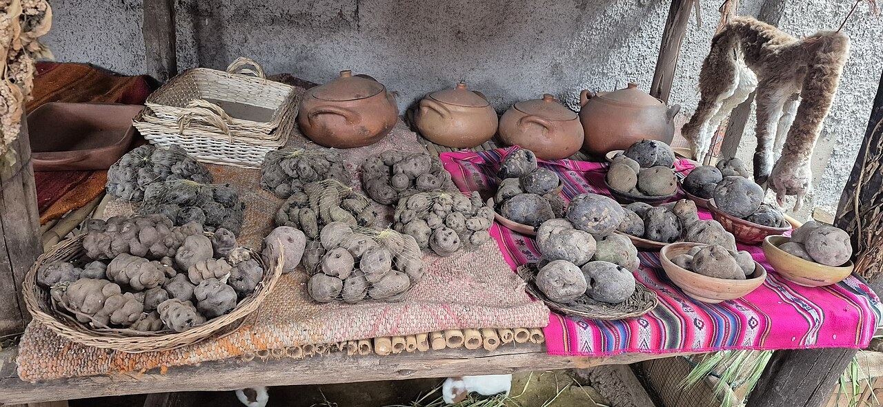 Verschiedene Kartoffelsorten auf einem Tisch in Peru